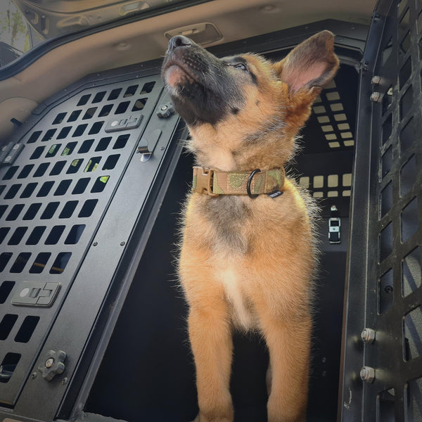 Mitsubishi Pajero Sport 2015+ Double Bay Dog Crate