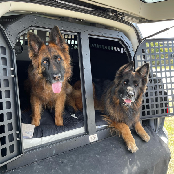 Nissan Patrol Y62 S3, S4, S5 Double Bay Dog Crate